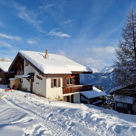 Bettmeralp Chalet Zendorn Apartment Luaran gambar