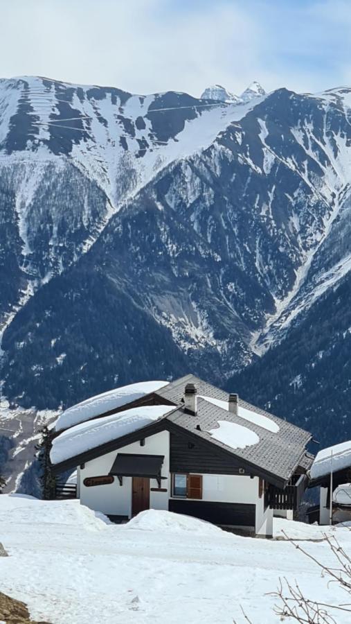 Bettmeralp Chalet Zendorn Apartment Luaran gambar