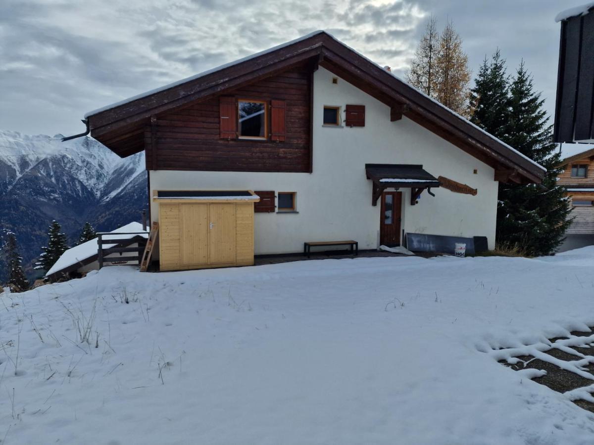 Bettmeralp Chalet Zendorn Apartment Luaran gambar