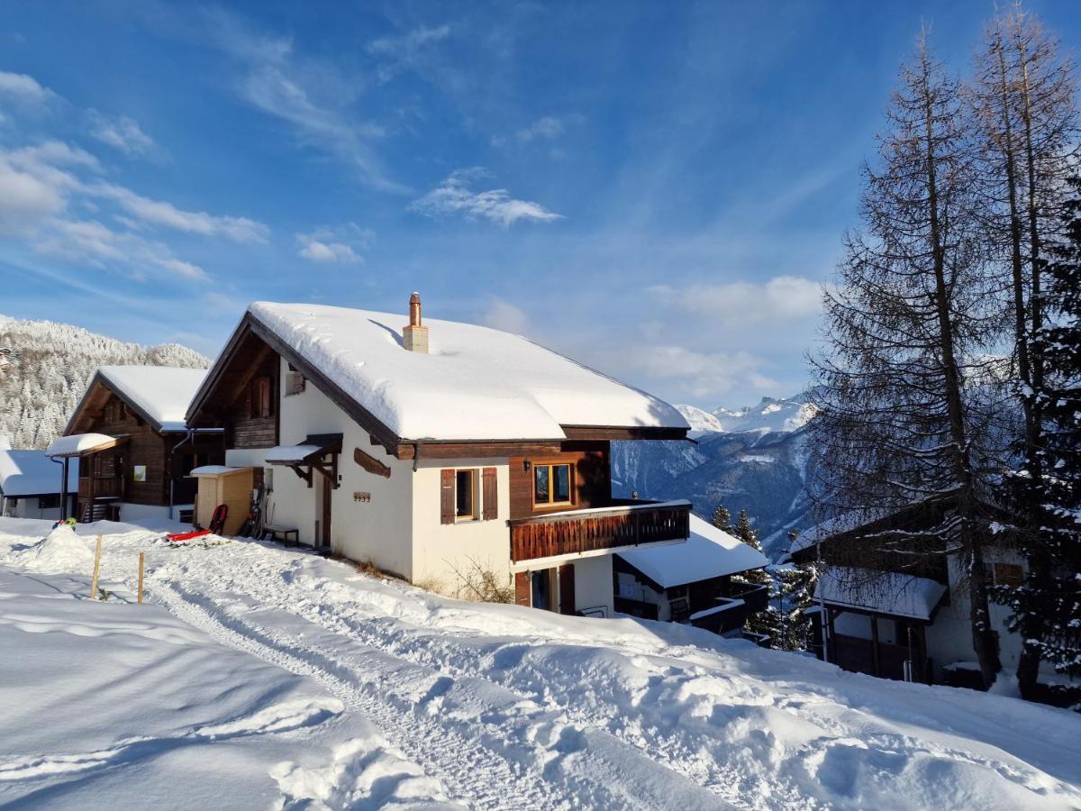 Bettmeralp Chalet Zendorn Apartment Luaran gambar